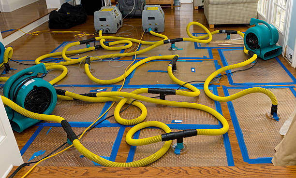 Professional Storm Water Damage Restoration technician working in Wolfe City, TX